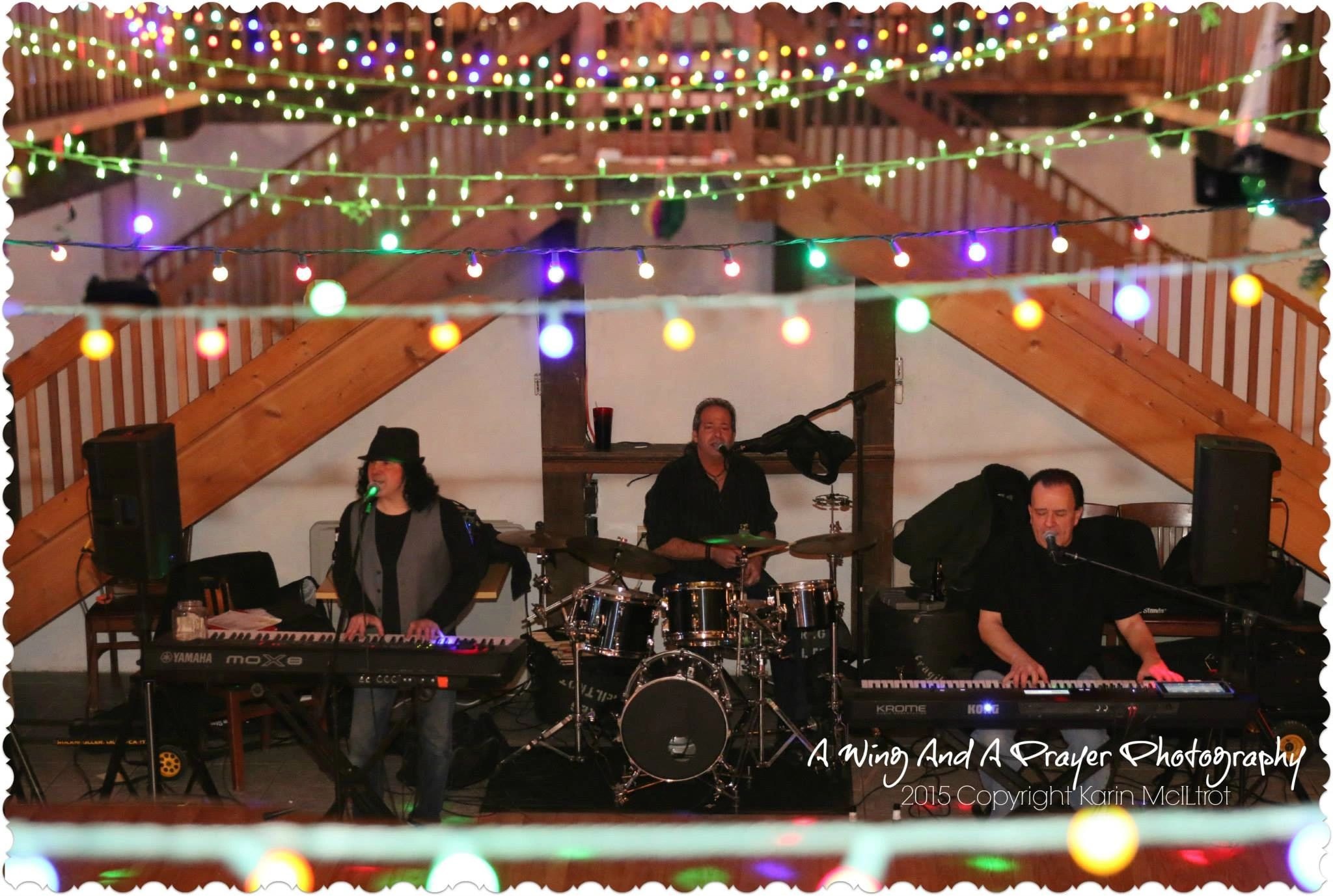 Harry Levicky performing live